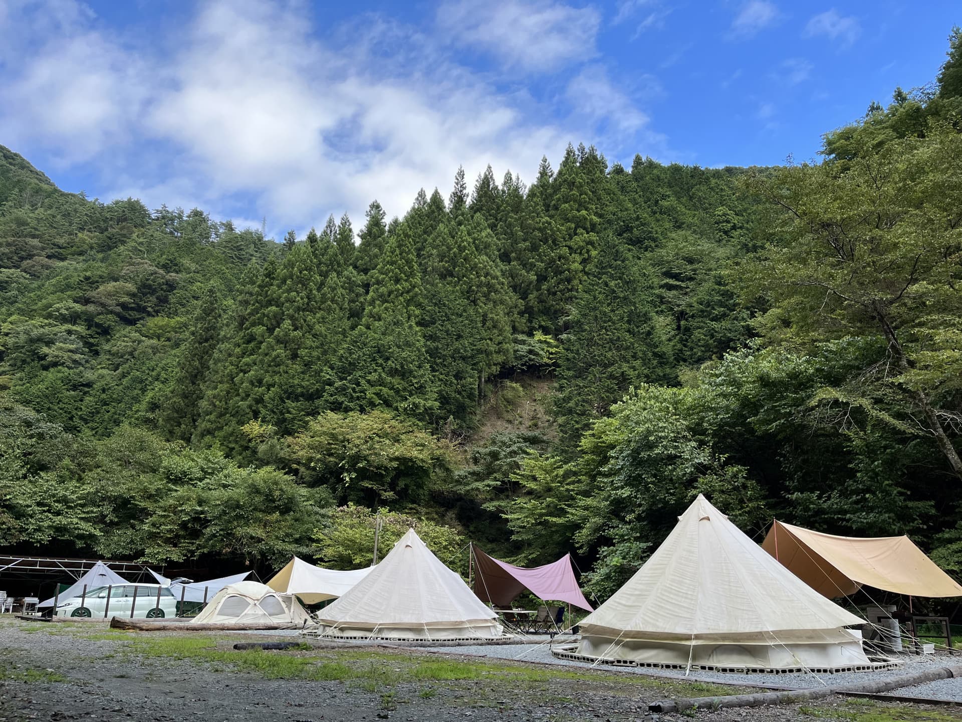 ファミリーキャンペーン開催!
