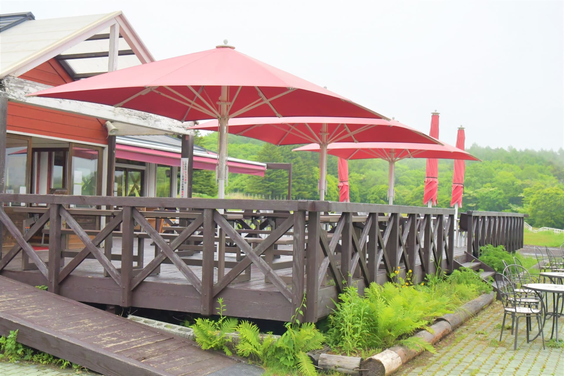 terraceでお食事を