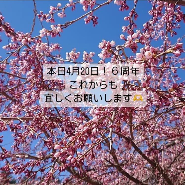 おはようございます!