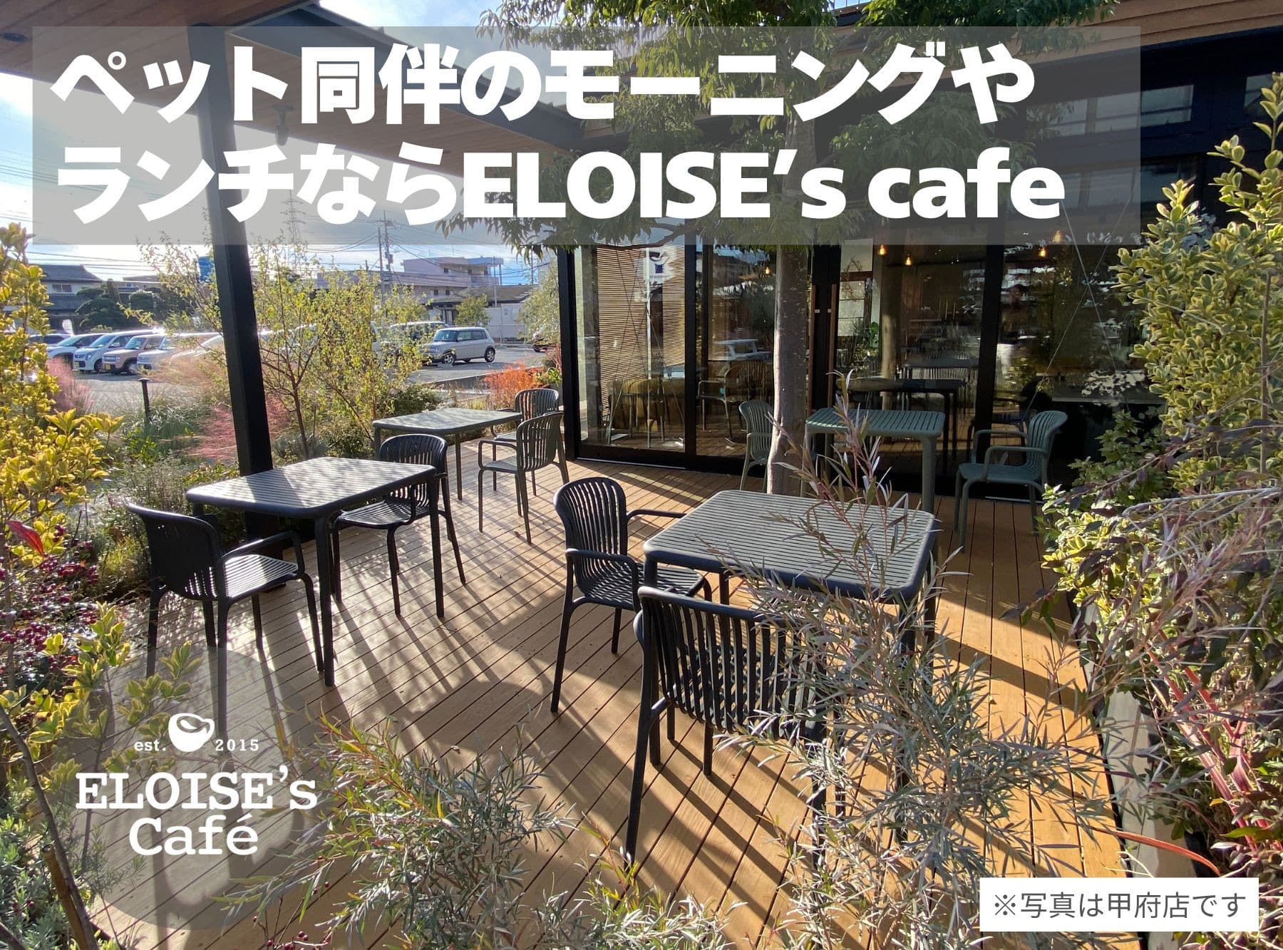 ペットと過ごすカフェタイム♪