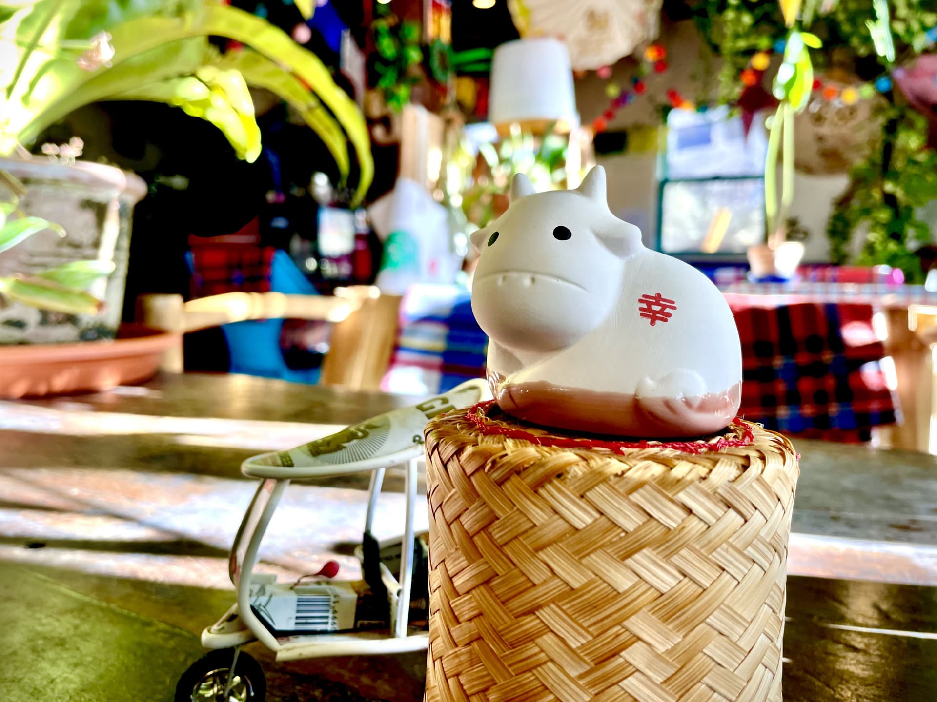 2021年五五吉食堂始まります!