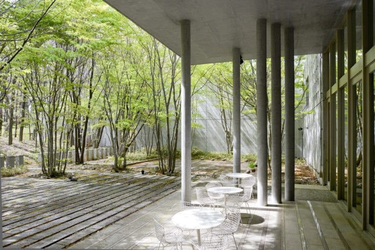 「縁結び大学」に取材いただきました。