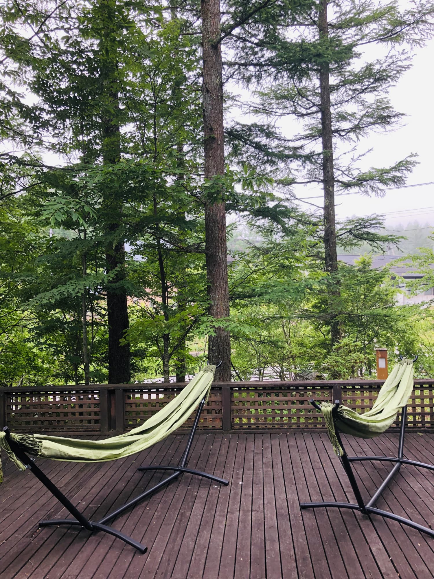 山中湖の新しいコーヒースポットです