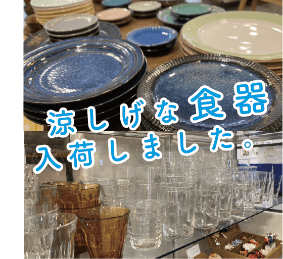 食器が追加されました!