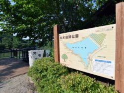 矢木羽湖公園