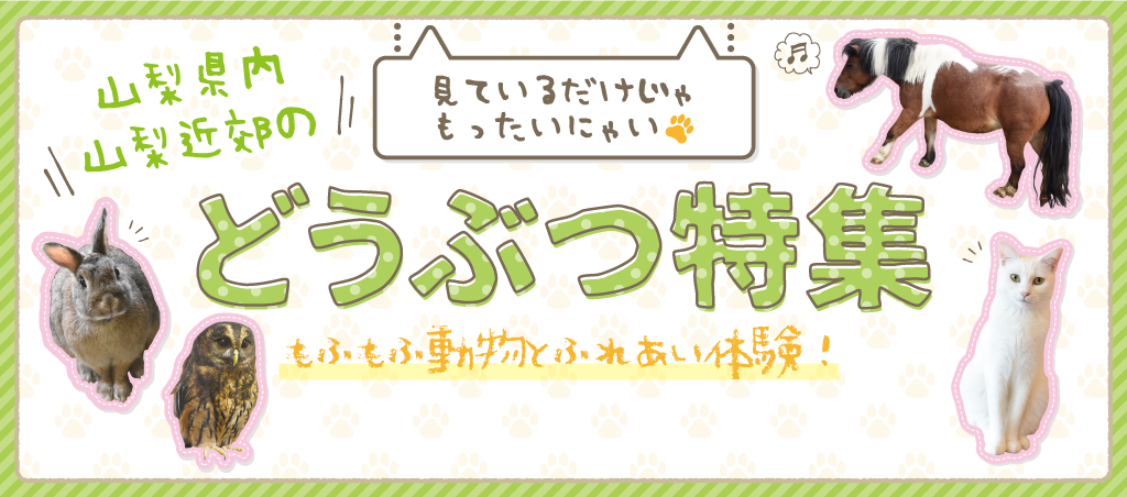 動物園や牧場も！山梨近郊の動物特集