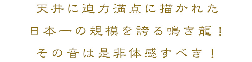 天井に迫力満点に描かれた日本一の規模を誇る鳴き龍！その音は是非体感すべき！