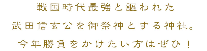 戦国時代最強と謳われた武田信玄公を御祭神とする神社。今年勝負をかけたい方はぜひ！