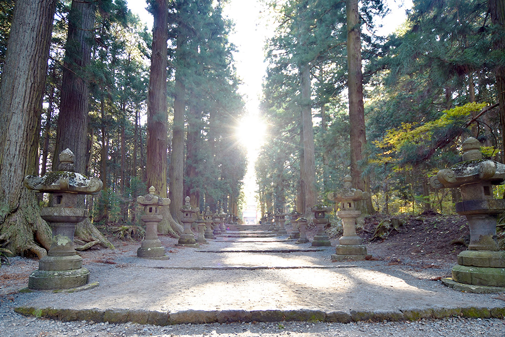 北口本宮冨士浅間神社の道