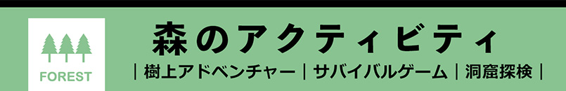 森のアクティビティ|樹上アドベンチャー|サバイバルゲーム|洞窟体験