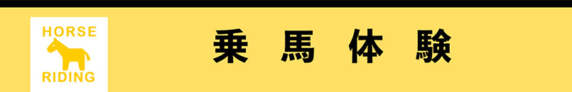 小淵沢町 乗馬体験 屋根付き 山梨のアクティビティ 遊び 体験おすすめスポット