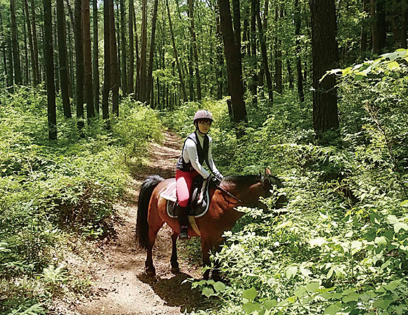 ノースランドライディングクラブの乗馬写真3