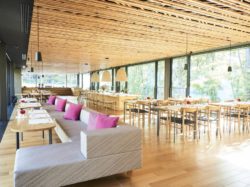 奏樹 北杜市 カフェ オーガニック 1