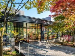 奏樹 北杜市 カフェ オーガニック 2