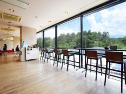 富士山 LAVA CAFE 富士河口湖超 グルメ カフェ 3