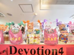 Devotion4 富士河口湖町 ショップ 5