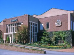 地ビール レストランシルバンズ 富士河口湖町 洋食 5