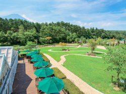 地ビール レストランシルバンズ 富士河口湖町 洋食 4