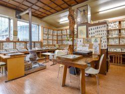 すずらん昆虫館 甲州市 博物館 資料館 3