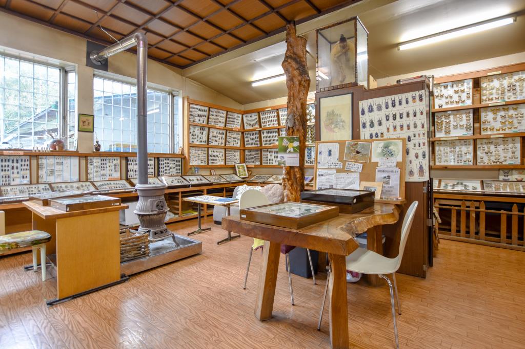 すずらん昆虫館 甲州市 博物館 資料館 3