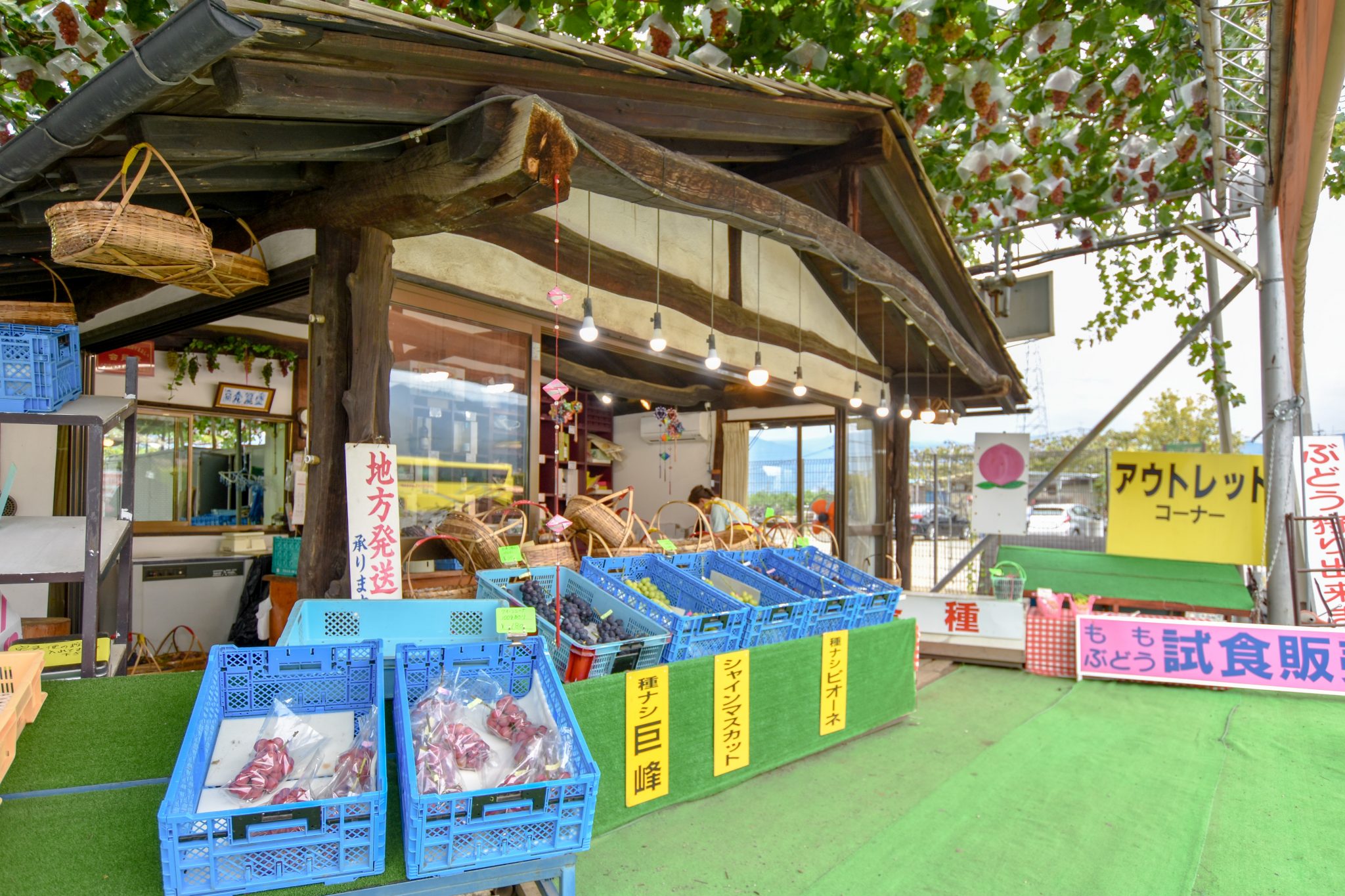 早川農園 甲州市 遊ぶ学ぶ 2