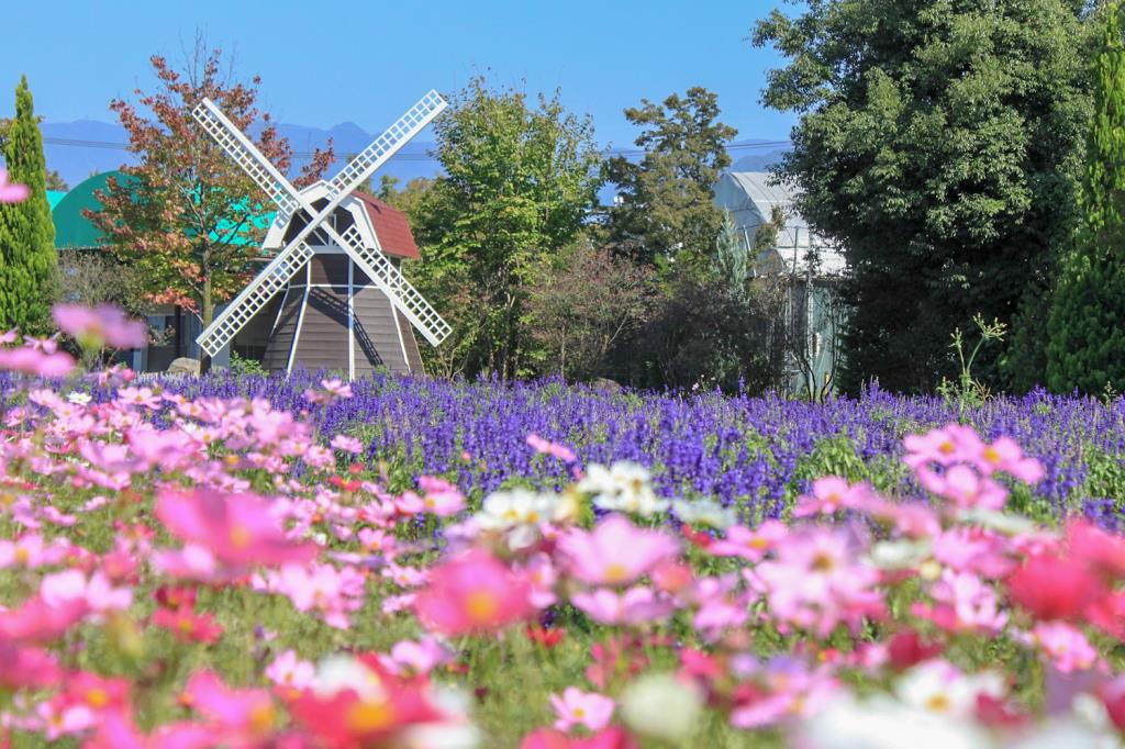 ハーブ庭園 旅日記 勝沼庭園 甲州市 温泉 スパ 5