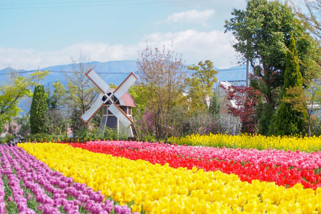 ハーブ庭園 旅日記 勝沼庭園 甲州市 温泉 スパ 2