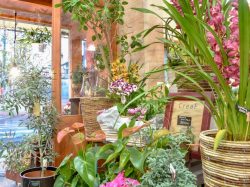 CreaF 富士吉田市 花屋 4