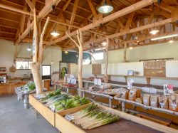 父ちゃんのやさい屋 北杜市 ショップ 2