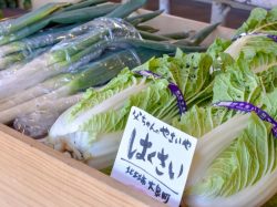 父ちゃんのやさい屋 北杜市 ショップ 3