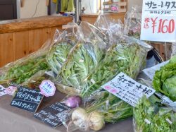 父ちゃんのやさい屋 北杜市 ショップ 3