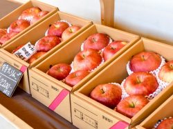 父ちゃんのやさい屋 北杜市 ショップ 5