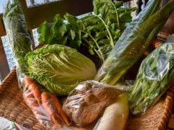 遊絲舎 北杜市 小物 雑貨 5