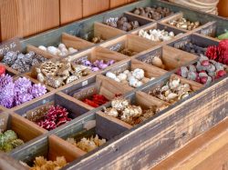 f3 北杜市 ショップ 5