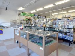 鉄道模型専門店 レール・パル351 富士川町 ショップ 2