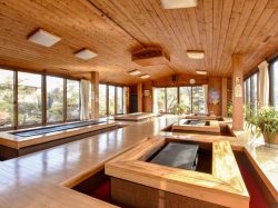 溶岩温泉 巻狩 富士河口湖町 鉄板焼き お好み焼き 4