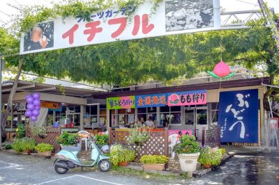 フルーツガーデン イチフル 笛吹市 観光農園・フルーツ狩り 1