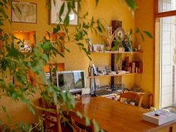 GARDEN&EXTERIOR グリーンテラス 甲斐市 ガーデニング 造園 植木 3