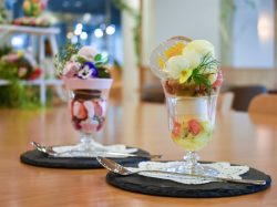 Hachette des Sale Ceres