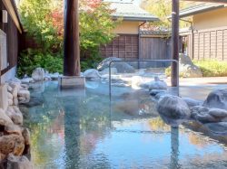 ふじやま温泉 富士吉田市 温泉・スパ 2