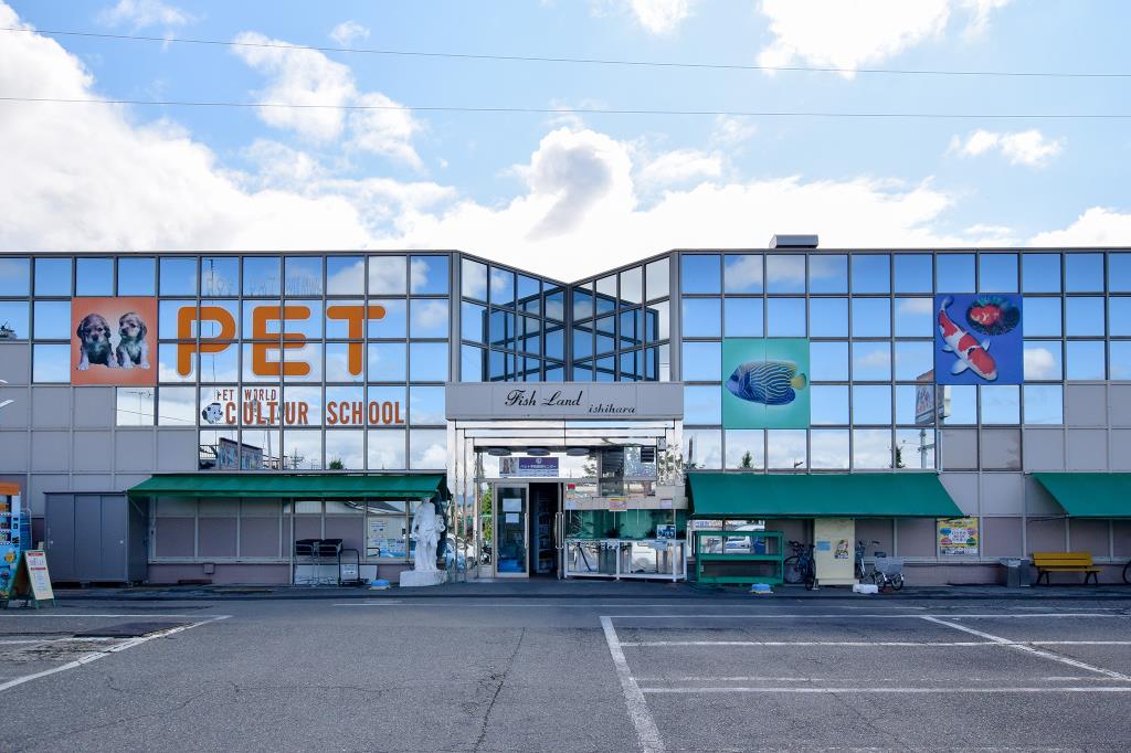 鱼岛石原甲府市宠物用品店修剪1