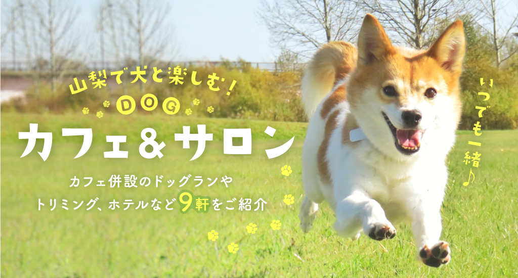 山梨で犬と楽しむ カフェ サロン9選 ドッグラン ホテル トリミング Porta