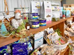 Naughty Cao 雑貨 インテリア 小物 ペット 2