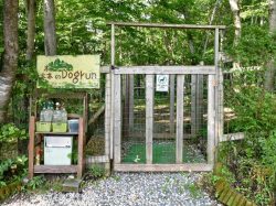 Naughty Cao 雑貨 インテリア 小物 ペット 5