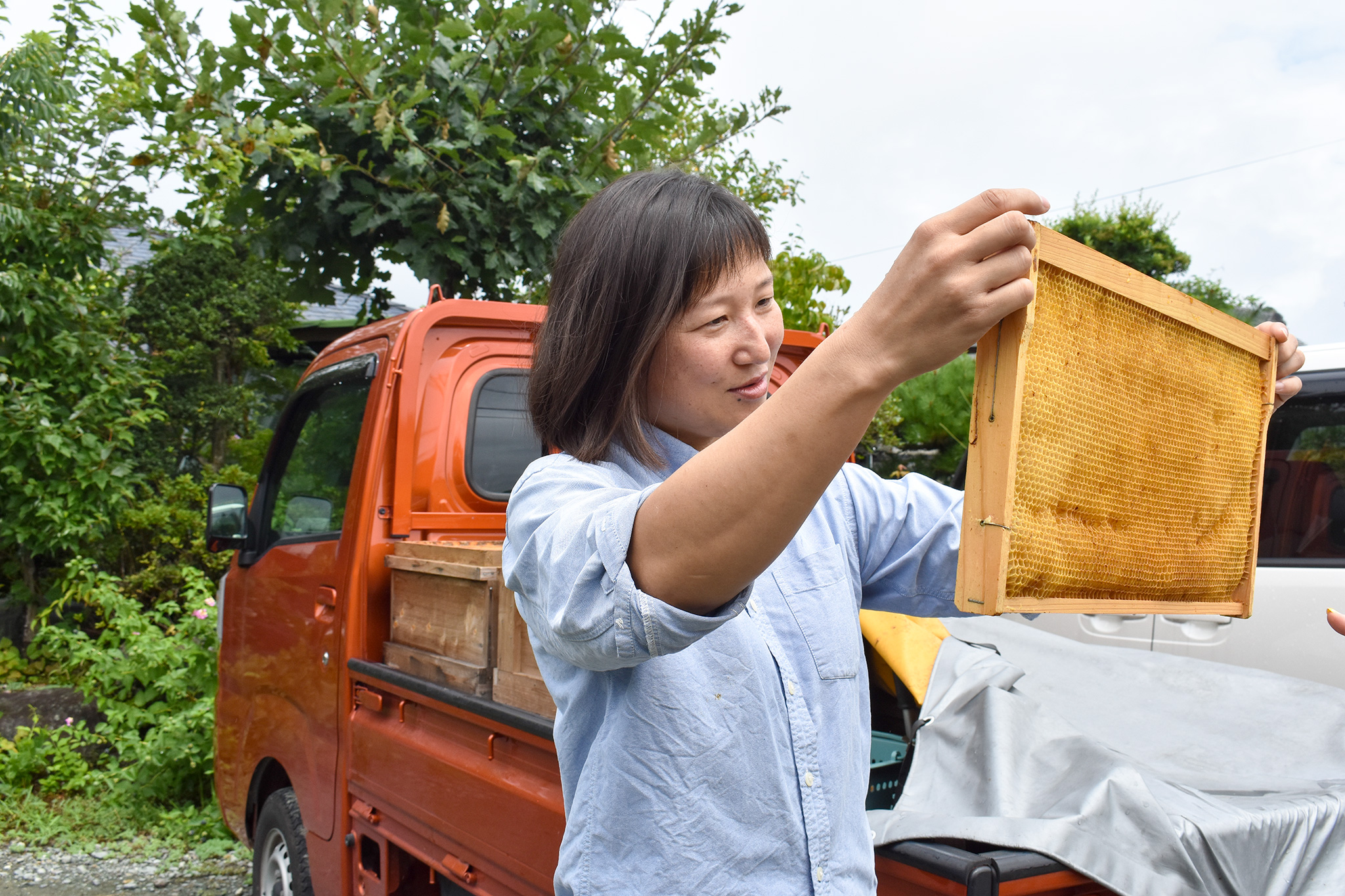蜜蜂生活的养蜂人|梅泽直美