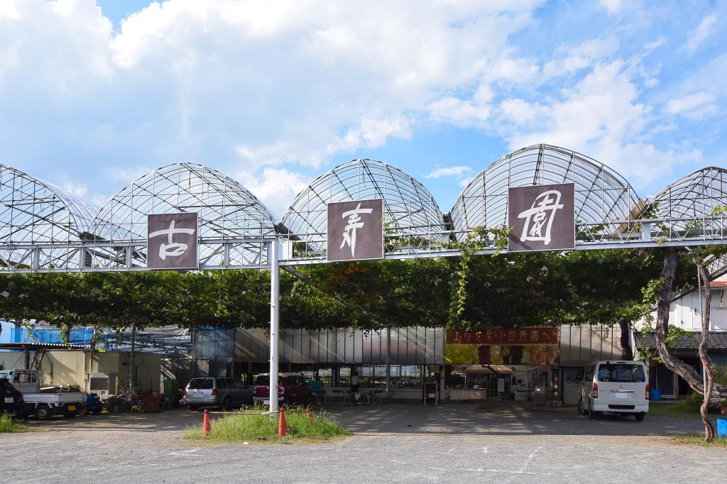 古寿園 甲州市 観光農園・フルーツ狩り 1