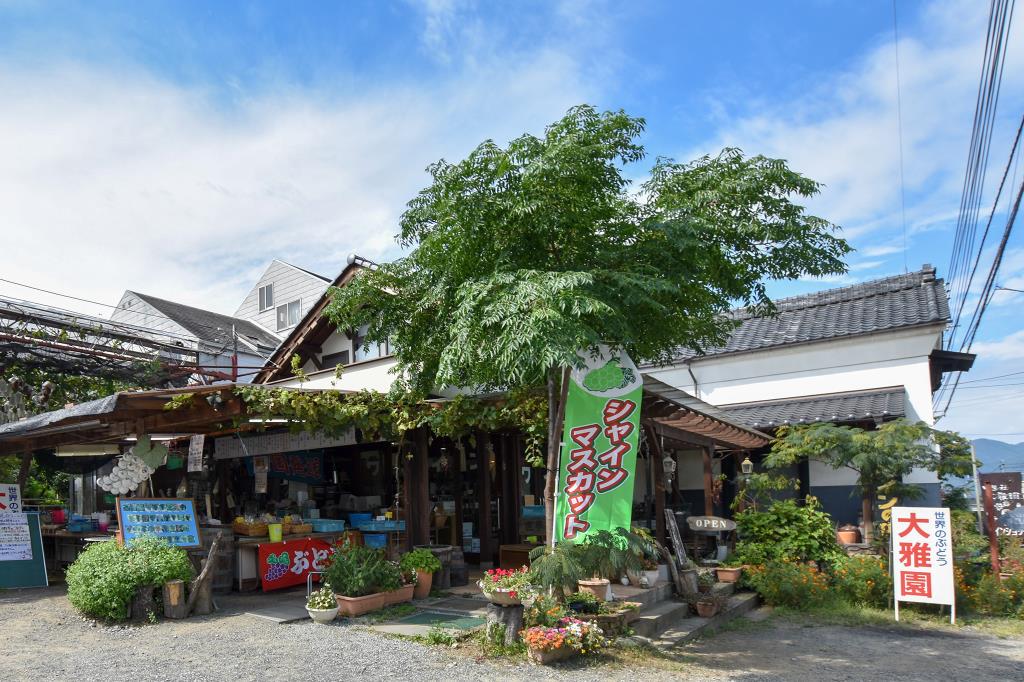 大雅園 甲州市 観光農園・フルーツ狩り 4