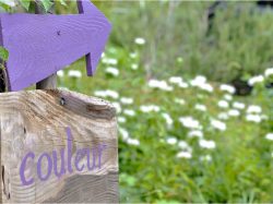 【cafe vol.10】農カフェクルール～心が向かう方向～