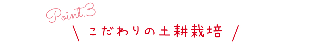 point3 こだわりの土耕栽培