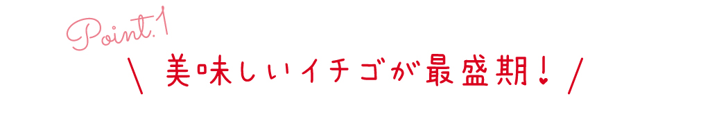 point1 美味しいイチゴが最盛期!